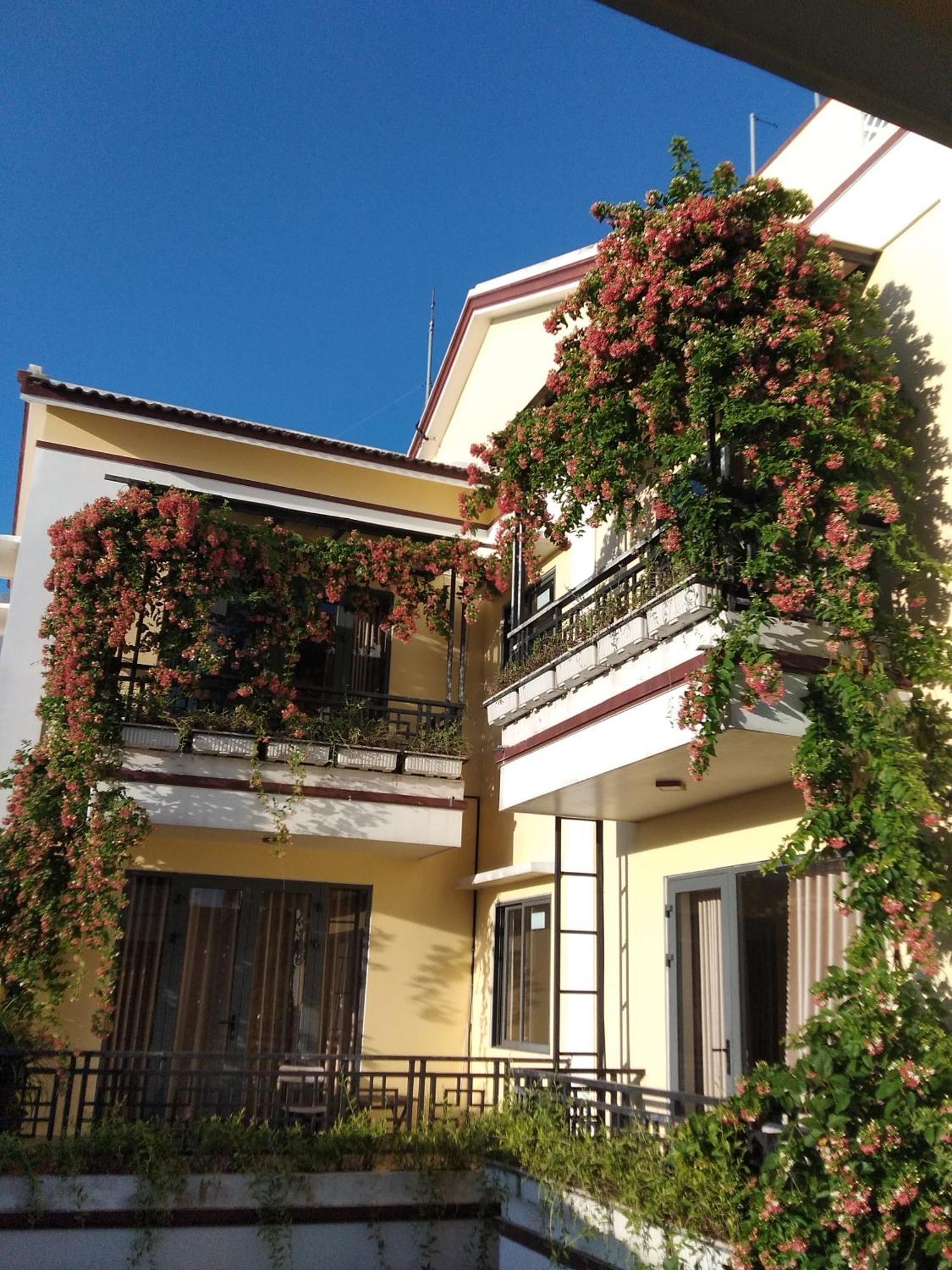 Hoi An Town Of Viet House Homestay Buitenkant foto